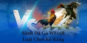 Cách Chơi Đá Gà WS168 Tại S666 Kiếm Tiền Mỗi Ngày