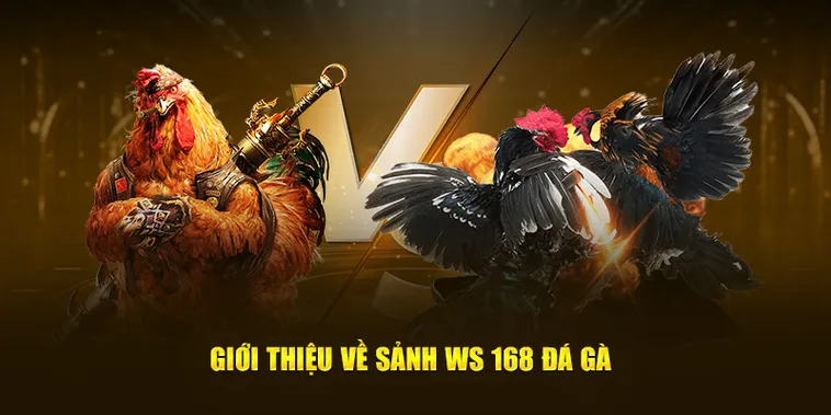 Cách Chơi Đá Gà WS168 Tại S666 Kiếm Tiền Mỗi Ngày