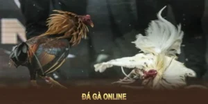 Cách Chơi Đá Gà GA28 Tại S666 Nhận Thưởng Cực Khủng