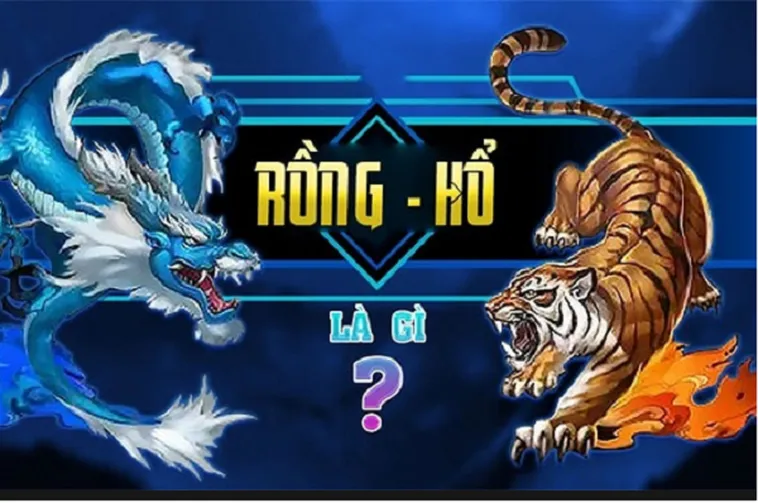Bí Kíp Săn Thưởng Dragon Tiger S666 Siêu Tốc Dành Cho Cao Thủ Cá Cược